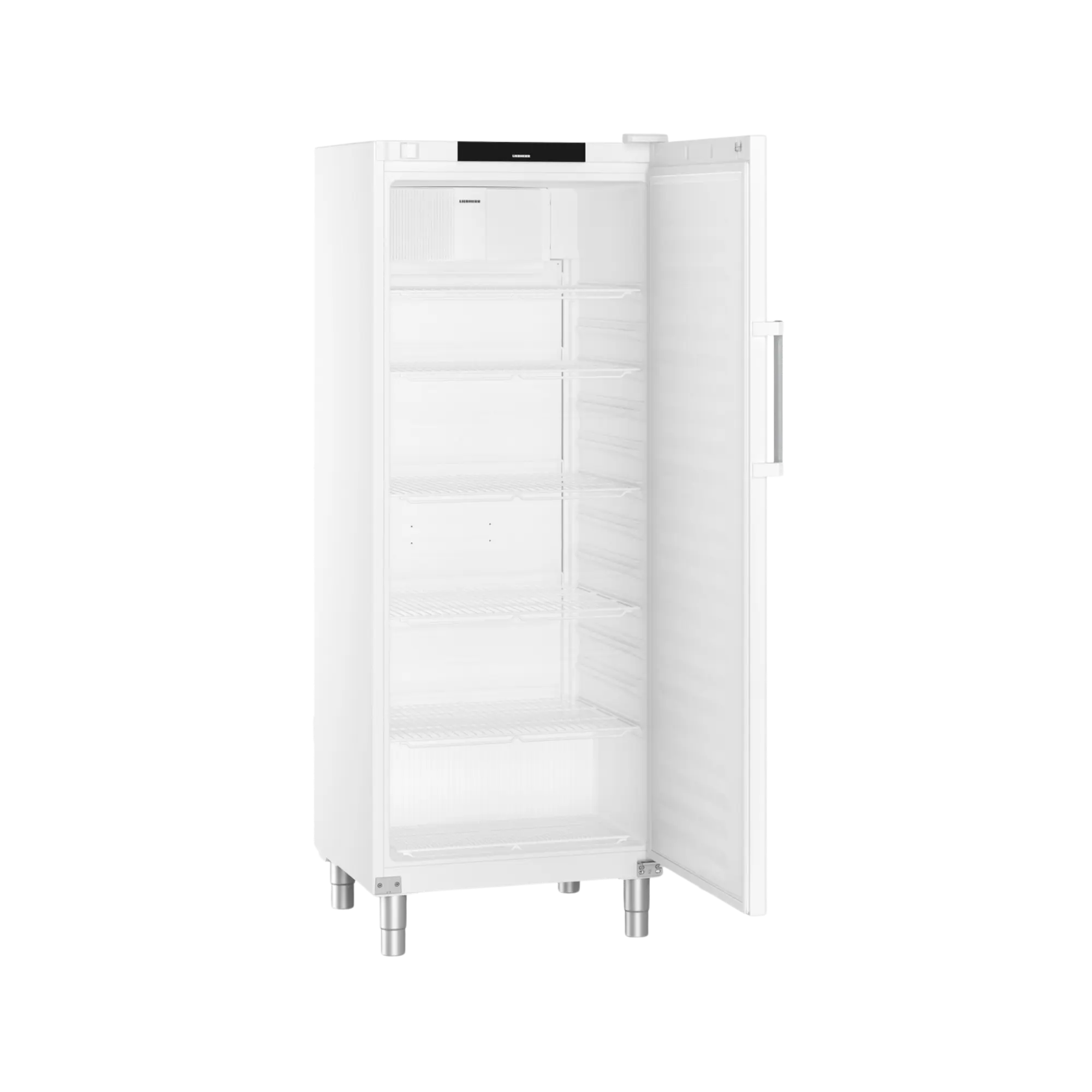 Liebherr FRFvg 6501 Kühl-Lagerschrank, 479 Liter Nutzinhalt, Stellfüße, 993599951