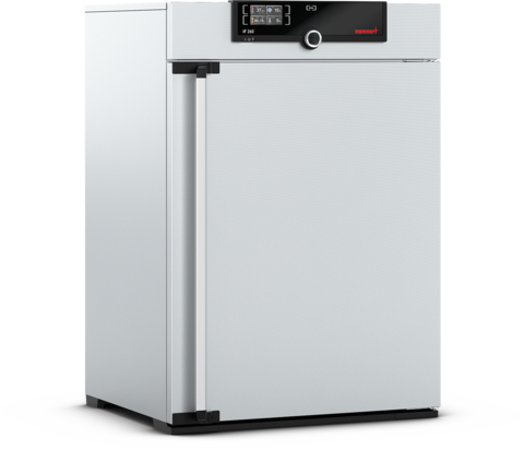 Memmert Brutschrank IF260m, 256l, 20-80°C