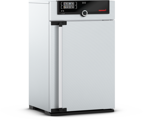 Memmert Brutschrank IF75m, 74l, 20-80°C