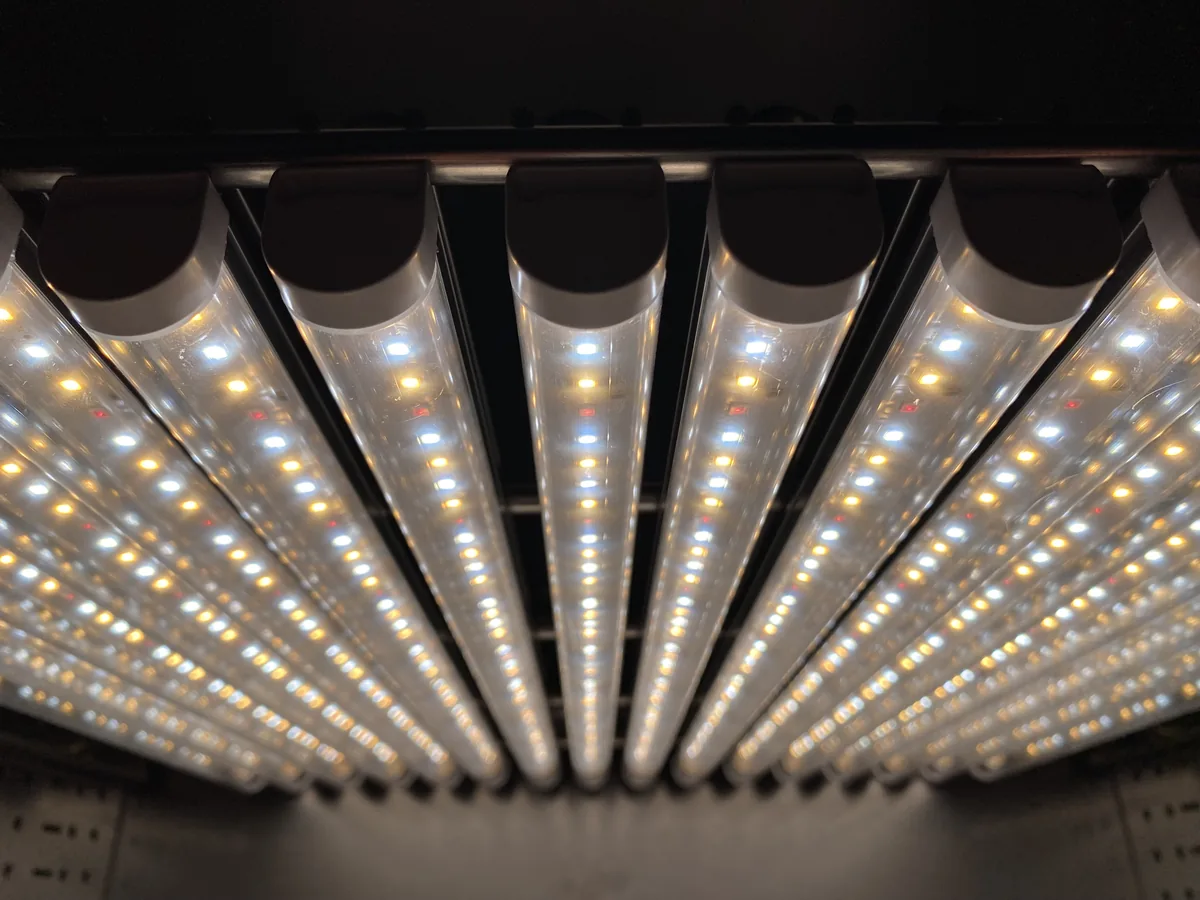 Binder LED-Pflanzenlichtmodul